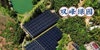 隐匿在双峰秘境的石斛仙草园