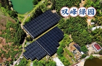 隐匿在双峰秘境的石斛仙草园
