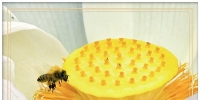 追光：一叶知秋至，一荷辞夏归
