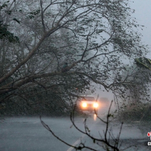 超级台风"鲇鱼"袭击菲律宾至少造成两人死亡