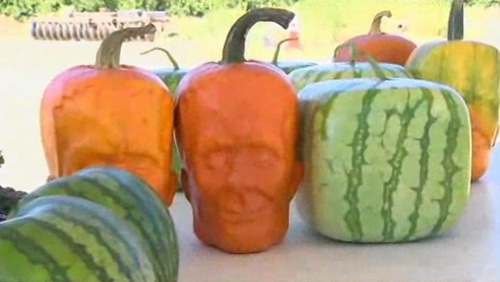 萨拉戈萨数百人集体抗议自行车新交通规则 - 西