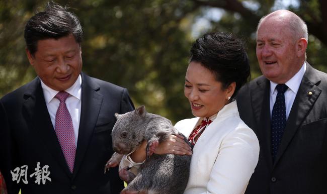 旅西华人召开联合会议应对当前形势 - 西国华人