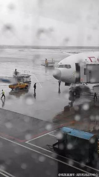 99%航班都取消了 但这5家公司在台风中继续飞