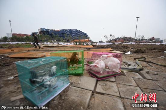 旅西华人召开联合会议应对当前形势 - 西国华人