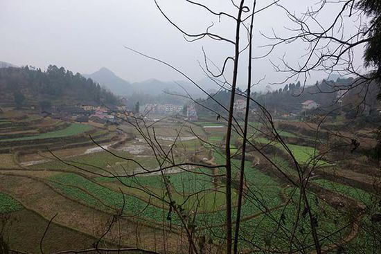 怀化市有多少人口_怀化市有哪几个区(3)
