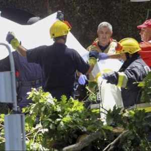 葡萄牙一树倒下，竟致46人伤亡其中11死(图)