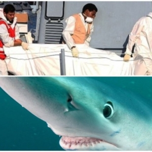 太惨！地中海难民船遭鲨鱼群攻击 夺71命(图)