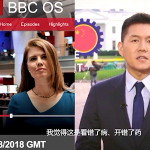 央视记者上BBC谈贸易战：美国看错了病，开错了药