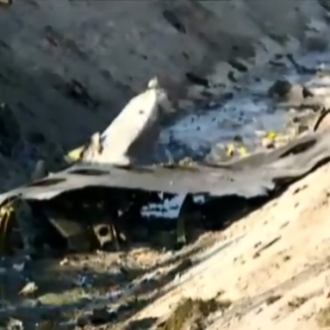 乌克兰客机在德黑兰坠毁176人丧生