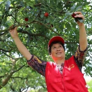 夕阳高挂献余香——序施探薇诗词选《山花集》