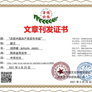 庆祝中国共产党百年华诞：红色足迹-闵诗睿