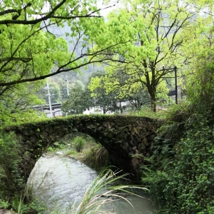 瓯江山水诗路颂歌（十）