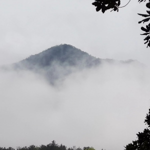 瓯江山水诗路颂歌（十九）